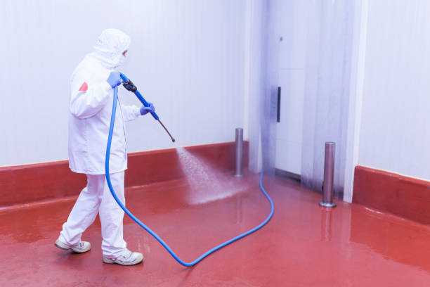 Best Pre-Holiday Cleaning  in Turnersville, NJ
